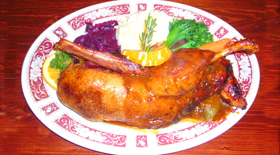 duck